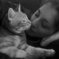 Rocio Santivañez的照片