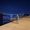 Navid Mohammadi's Photo