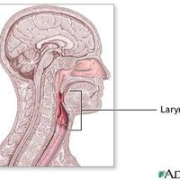 Yohandris Rodriguez的照片