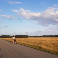 Sistane Khamak's Photo