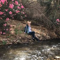 Dana Al-Ashmar的照片