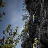 Fotos de Evie Osborn