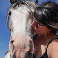 Émilie L. Chatel的照片