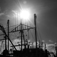 Mélanie Joly's Photo