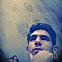 Amir Hossein Gheysari's Photo