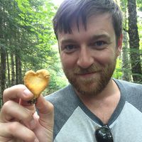 Mike Novitzki的照片