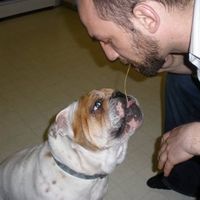 David Calico's Photo