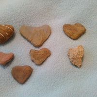 Donna Hiatt的照片