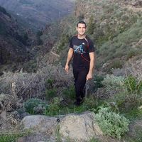 Raúl Jiménez's Photo