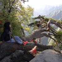 Fotos de Prudence Wai