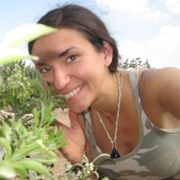 Allison Porman的照片