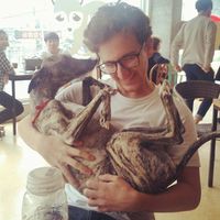 Brice Goldenberg的照片