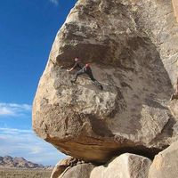 Harrison Goldwyn's Photo