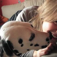 Hélène Despois's Photo