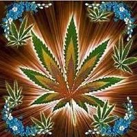 Hipten Them的照片