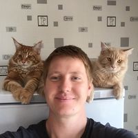 Vladimir Bolshoi's Photo