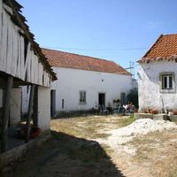 Tiago Ribeiro's Photo