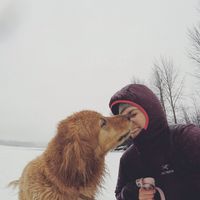 Photos de Krysten Hogan