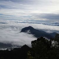 Jesse Steinmetz's Photo