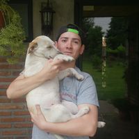 Ftancisco  Vargas's Photo