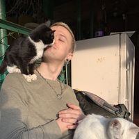 Fotos de cherry cherry