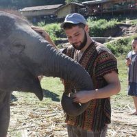 Albert Belimgotov的照片