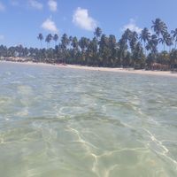 Dayana Mary的照片