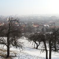 Victor Haas的照片