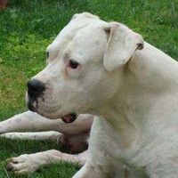 Davide Rocca's Photo