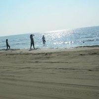 Fpok Afghanistan's Photo