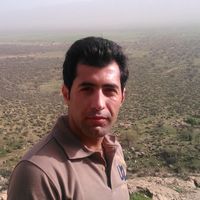 Fotos de MEYSAM TAHMASEBI