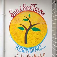 Sun & Soil Farms的照片