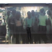 Cátia Dâmaso的照片