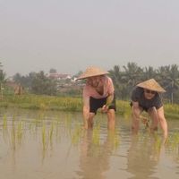 Christian Lau的照片