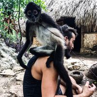 Alejandro Azpeitia's Photo