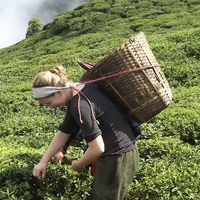 Enora Bernard的照片