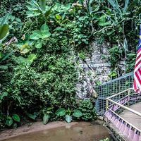 Mohamed Ahmed的照片