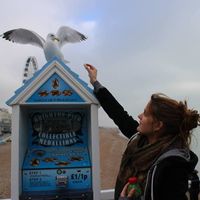 Lilla Mocsonoky的照片