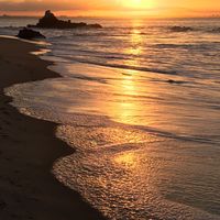 Caroline Eli的照片