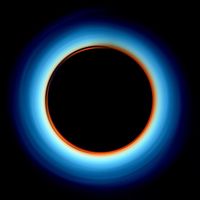 Arian Zarneshan's Photo