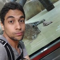 Mohamed Gamal's Photo