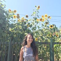 Noha Mosaad的照片