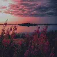 Fotos von chao dong paul