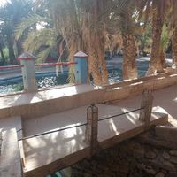 Fotos de Younes Bandadi