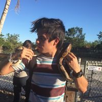 Alvaro Navarro的照片