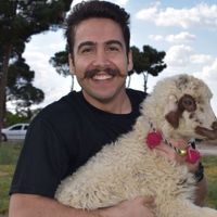 Ehsan Rajabi的照片