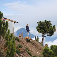 Inês Rodrigues's Photo