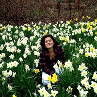 Fotos de Paola Baldessar