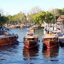 Dia En Tigre's picture