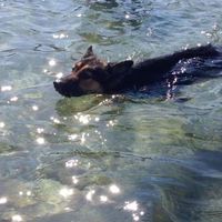 Carla Transfiguración的照片